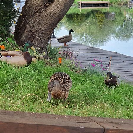 Stoke Ferry River Cottage מראה חיצוני תמונה
