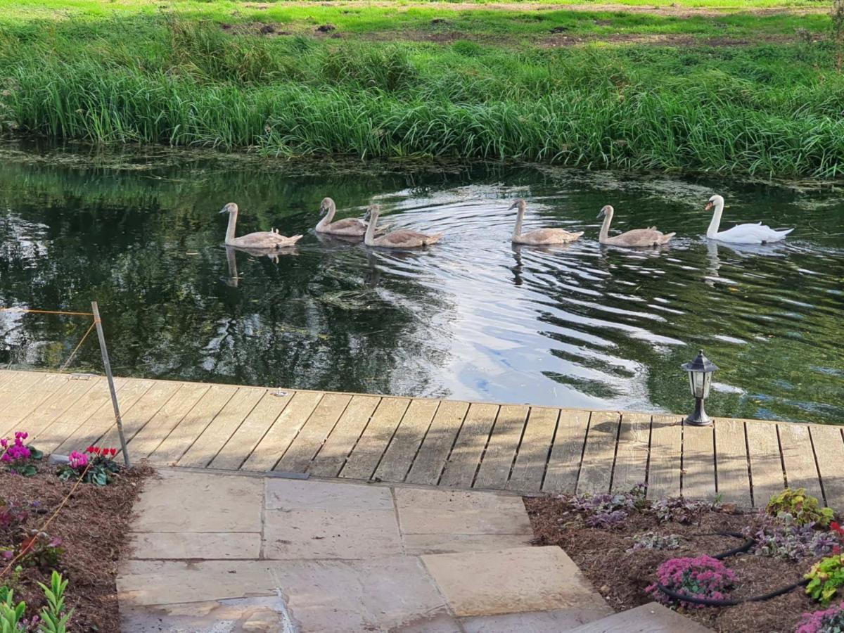 Stoke Ferry River Cottage מראה חיצוני תמונה